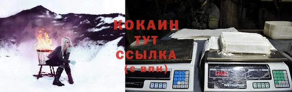 мяу мяу мука Аркадак