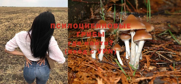 эйфоретик Армянск