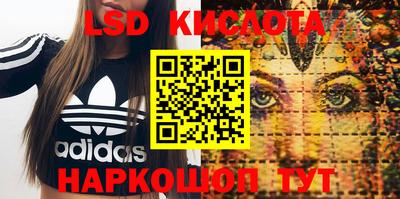 mdpv Бердск