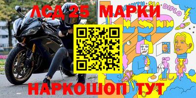 mdpv Бердск