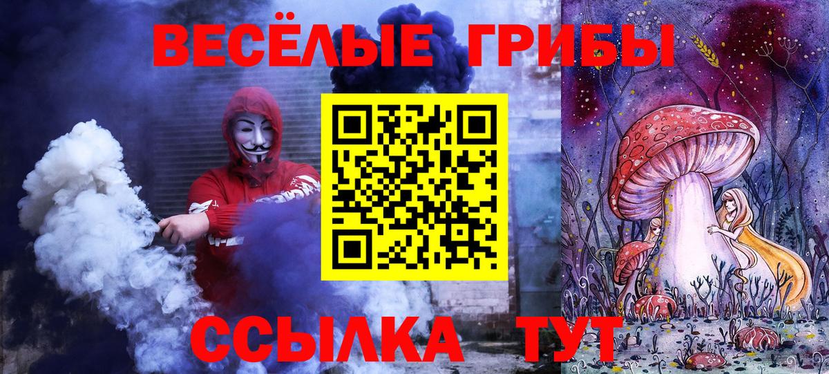 Галлюциногенные грибы прущие грибы  Вход с VPN  Аша 